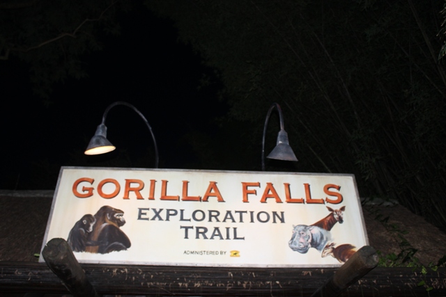 Gorilla Falls Exploration Trail Africa Pangani Forest Animal Kingdom